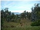 4  Illawong Place, Riverside TAS 7250