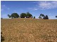 Lot 5  Whites Road, Beaconsfield TAS 7270