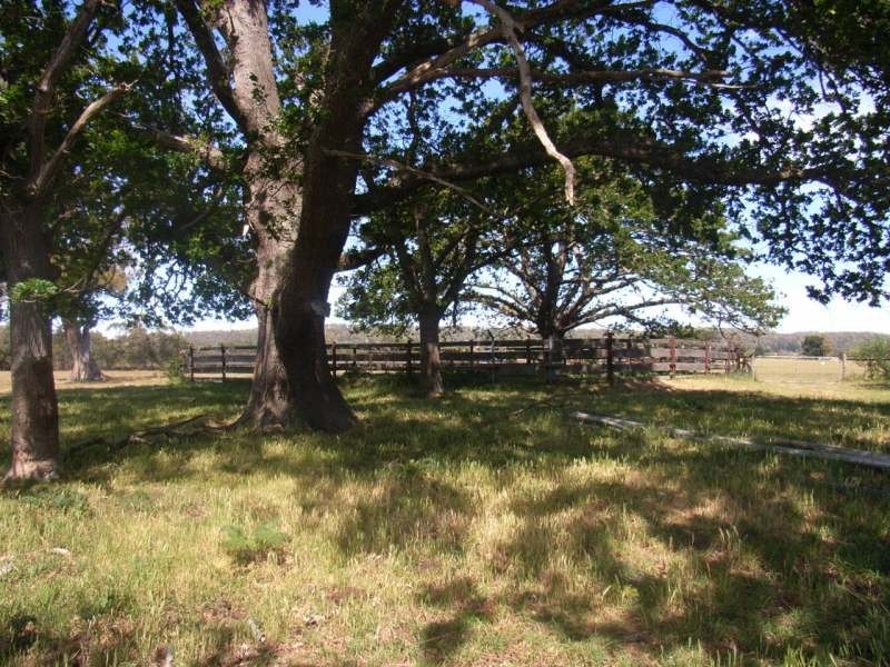 Lot 5  Whites Road, Beaconsfield TAS 7270