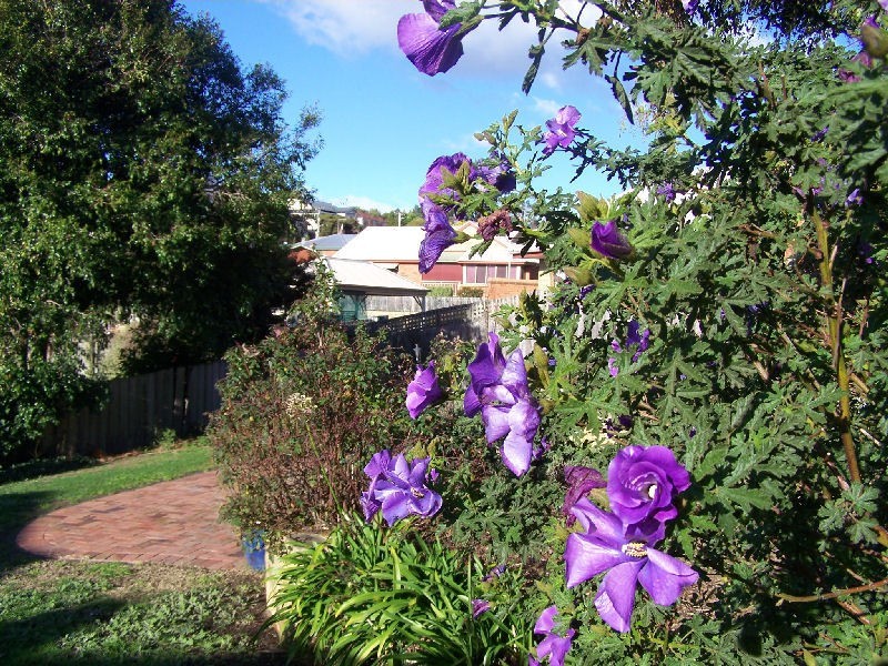 6  Vernon Street, South Launceston TAS 7249