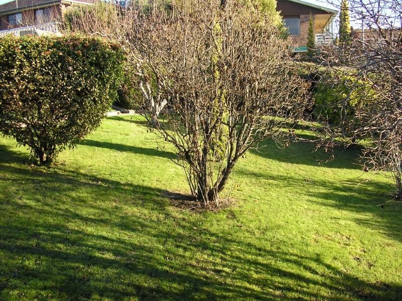 19  Beach Road, Legana TAS 7277