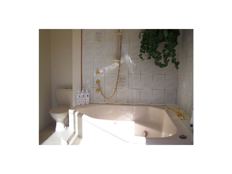 46 Blackstone Road, Blackstone Heights TAS 7250