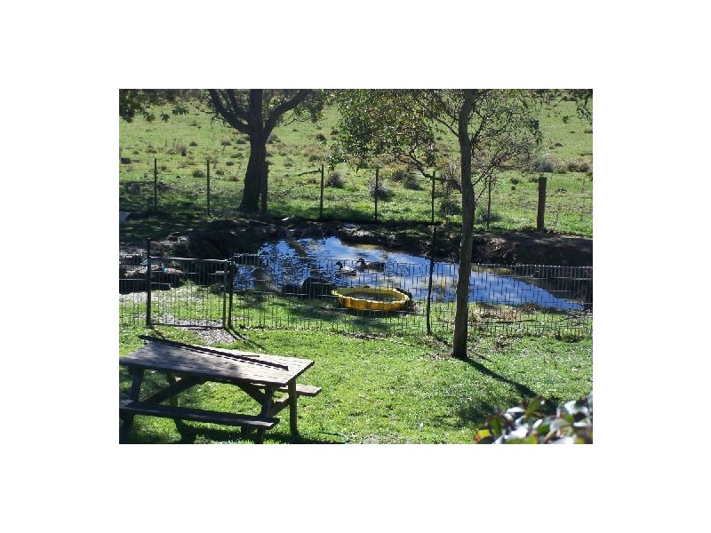 46 Blackstone Road, Blackstone Heights TAS 7250