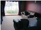 14  Dyball Street, Hadspen TAS 7290
