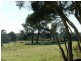 10  Reibey Street, Beaconsfield TAS 7270