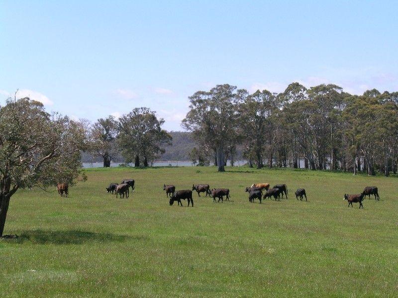 Whites Road, Beaconsfield TAS 7270