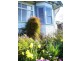 13  Main Road, Lanena TAS 7275