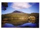 13515  Lake Highway, Golden Valley TAS 7304