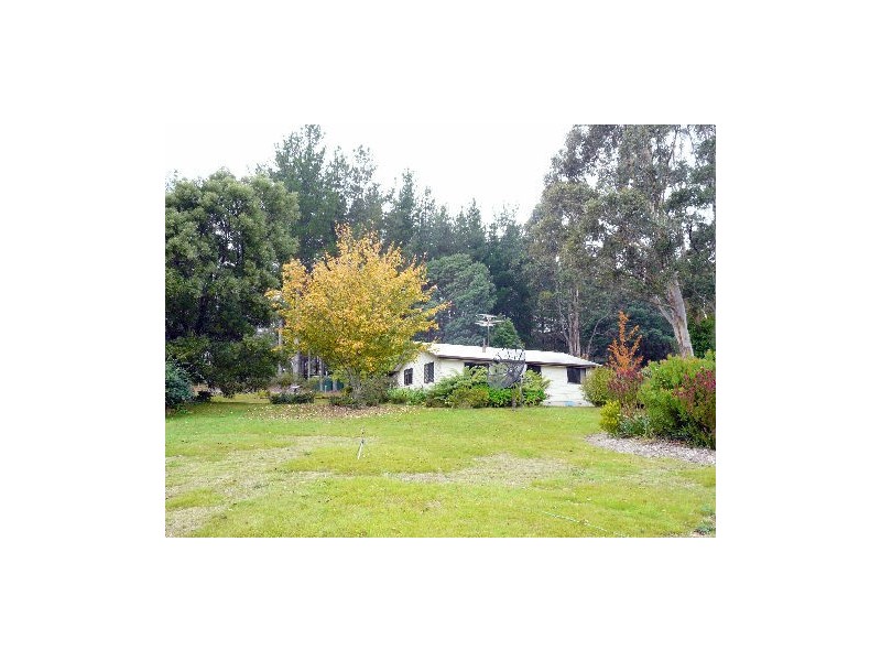 13515  Lake Highway, Golden Valley TAS 7304