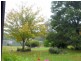 13515  Lake Highway, Golden Valley TAS 7304