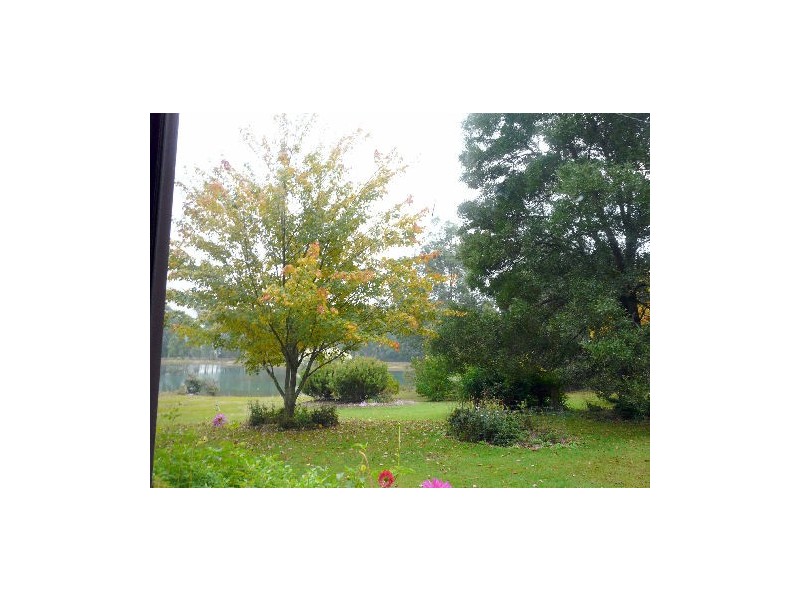 13515  Lake Highway, Golden Valley TAS 7304