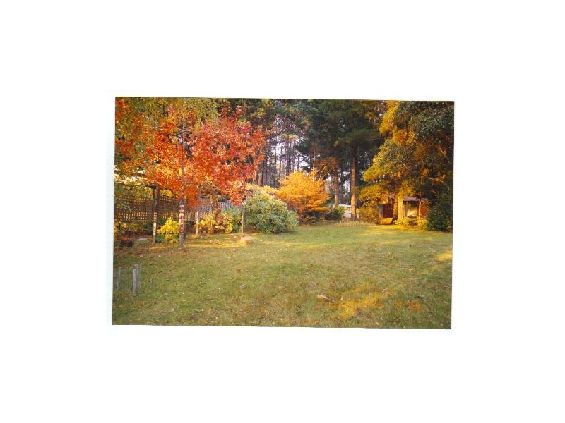 13515  Lake Highway, Golden Valley TAS 7304