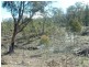 Lot 3  Keith Avenue, Travellers Rest TAS 7250