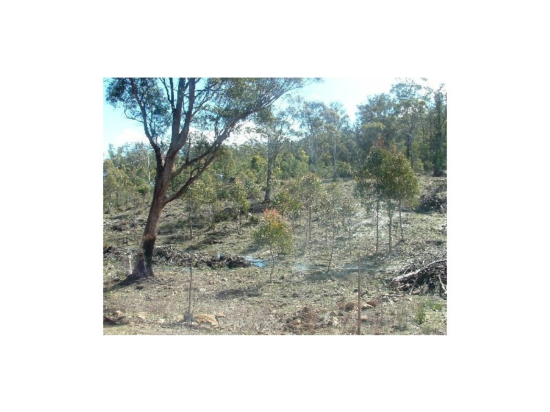 Lot 3  Keith Avenue, Travellers Rest TAS 7250