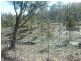 Lot 3  Keith Avenue, Travellers Rest TAS 7250