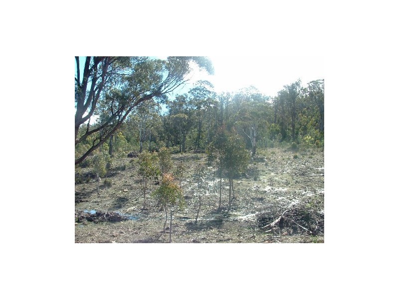 Lot 3  Keith Avenue, Travellers Rest TAS 7250