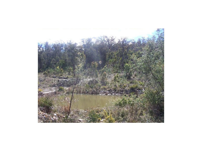 Lot 5 Keith Avenue, Travellers Rest TAS 7250