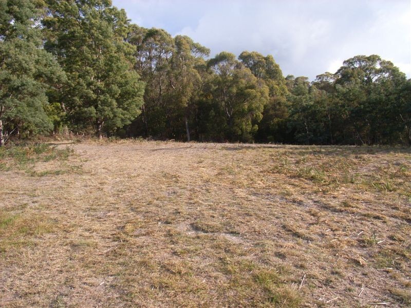 19  Bolton Street, Beaconsfield TAS 7270
