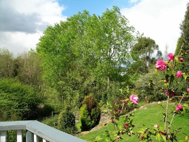 356  Gravelly Beach Road, Gravelly Beach TAS 7276