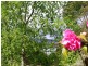 356  Gravelly Beach Road, Gravelly Beach TAS 7276