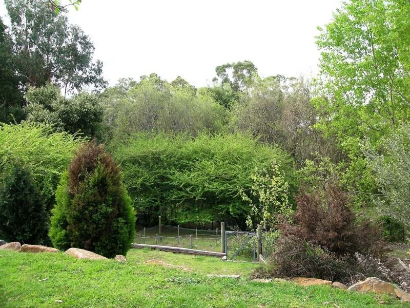 356  Gravelly Beach Road, Gravelly Beach TAS 7276