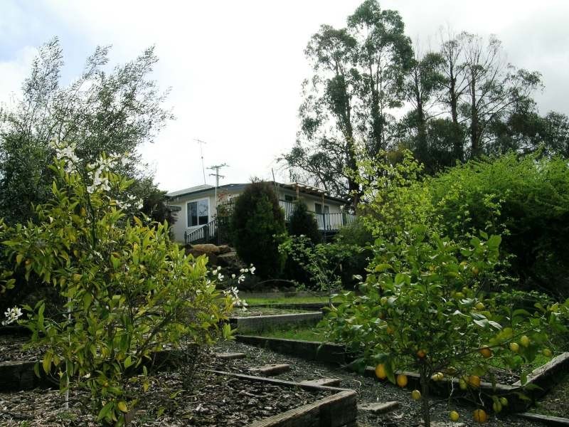 356  Gravelly Beach Road, Gravelly Beach TAS 7276