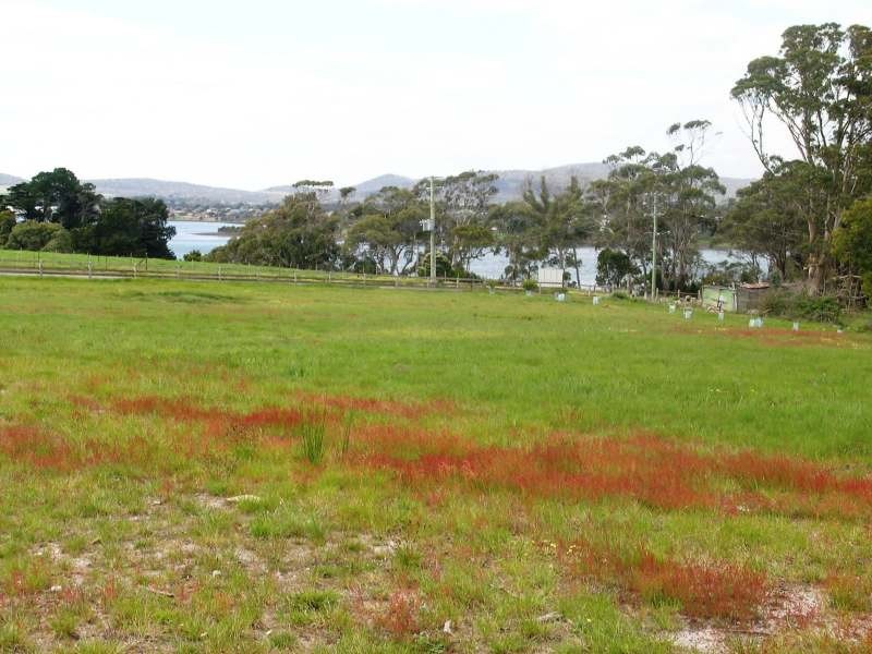 Lots 1-9  Chisholm Avenue, Anchor Bay Estate, Clarence Point TAS 7270
