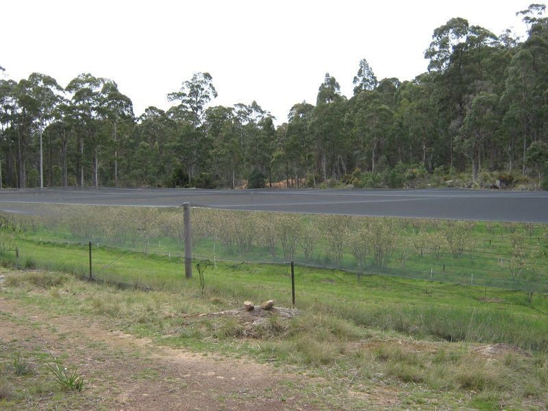 270  Pipers River Road, Turners Marsh TAS 7267