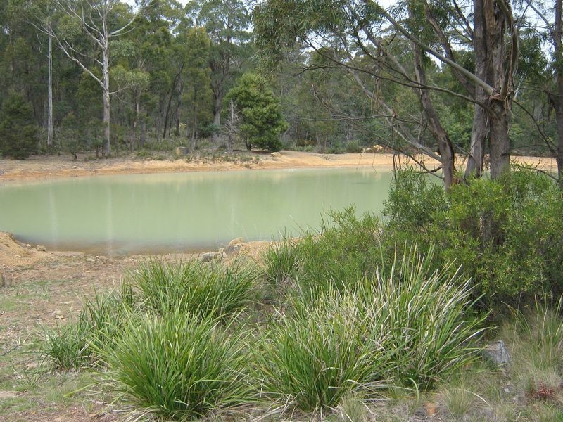 270  Pipers River Road, Turners Marsh TAS 7267