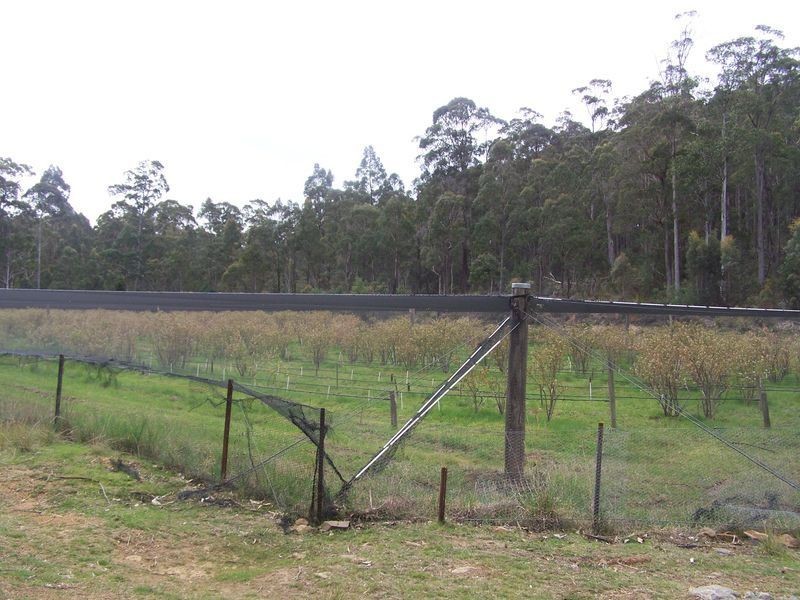 270  Pipers River Road, Turners Marsh TAS 7267