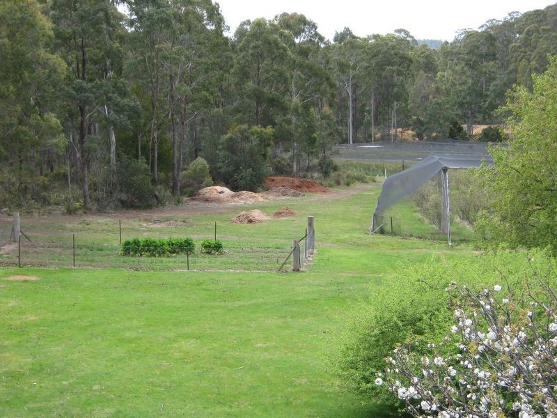 270  Pipers River Road, Turners Marsh TAS 7267