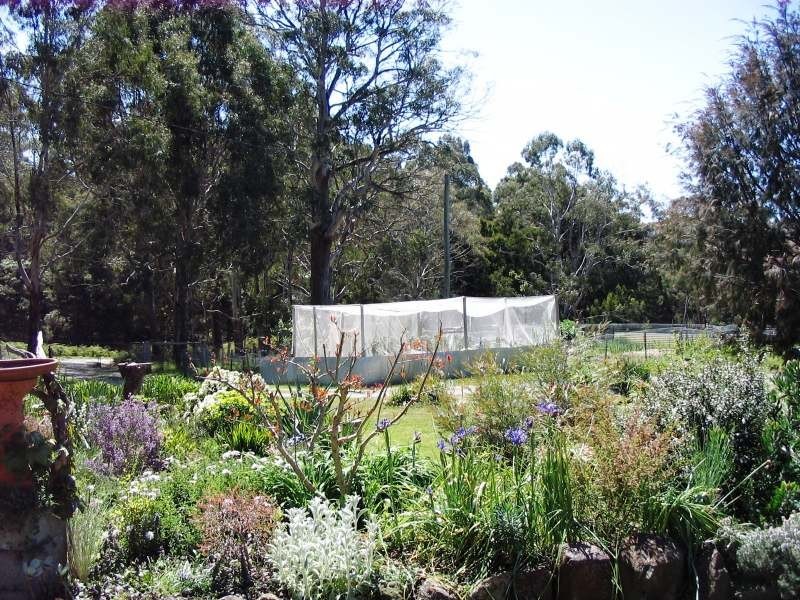 85  Deviot Road, Robigana TAS 7275