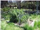 85  Deviot Road, Robigana TAS 7275