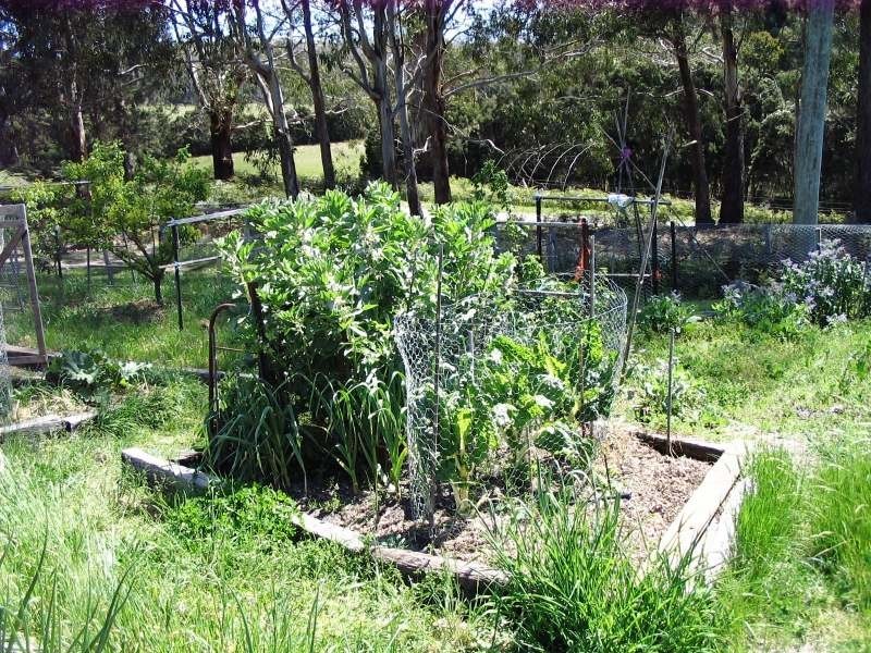 85  Deviot Road, Robigana TAS 7275