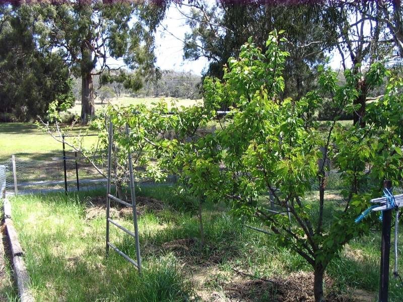 85  Deviot Road, Robigana TAS 7275