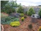 146  Charles Street, Beauty Point TAS 7270