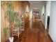 146  Charles Street, Beauty Point TAS 7270