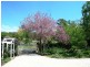 20  Upper McEwans Road, Legana TAS 7277