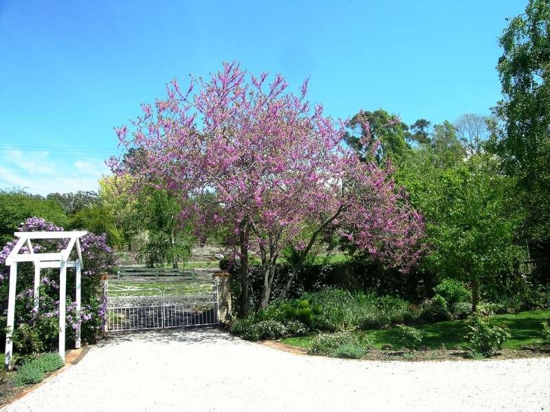 20  Upper McEwans Road, Legana TAS 7277