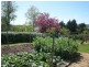 20  Upper McEwans Road, Legana TAS 7277