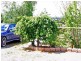 38 Brooklyn Street, Beaconsfield TAS 7270