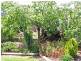 38 Brooklyn Street, Beaconsfield TAS 7270
