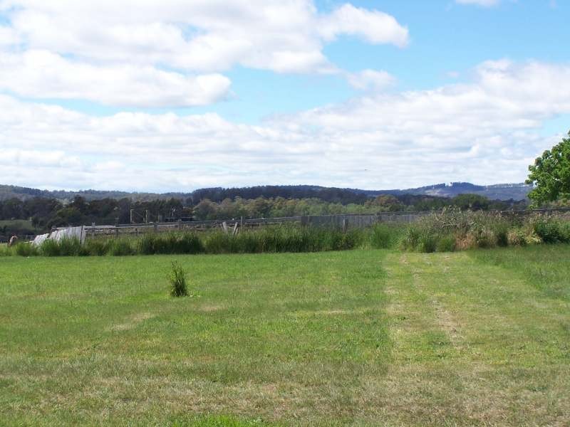 7  Grubb Street, Beaconsfield TAS 7270