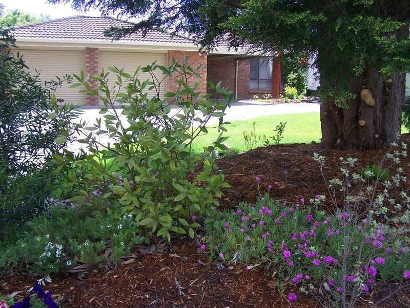 60  Country Club Avenue, Prospect Vale TAS 7250