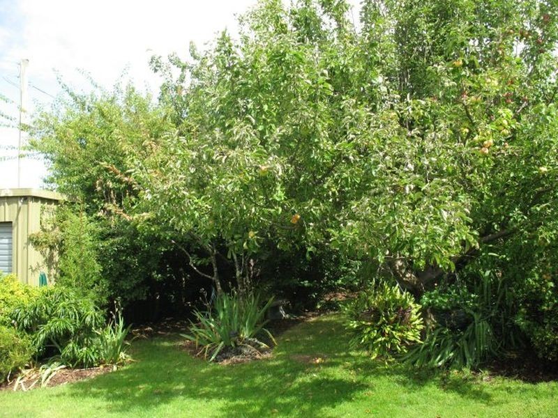 24  Foote Street, Hadspen TAS 7290