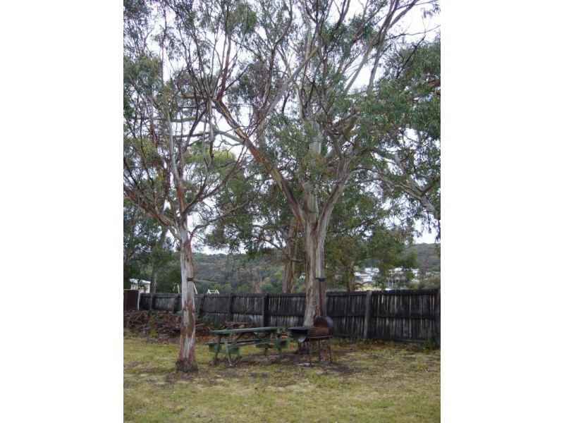 23 Howard Street, Bellingham TAS 7254