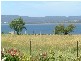 Beauty Point TAS 7270