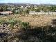 26 Brooklyn Street, Beaconsfield TAS 7270