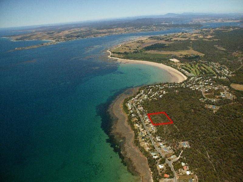 Fernlack  Ocean Rise Estate, Greens Beach TAS 7270
