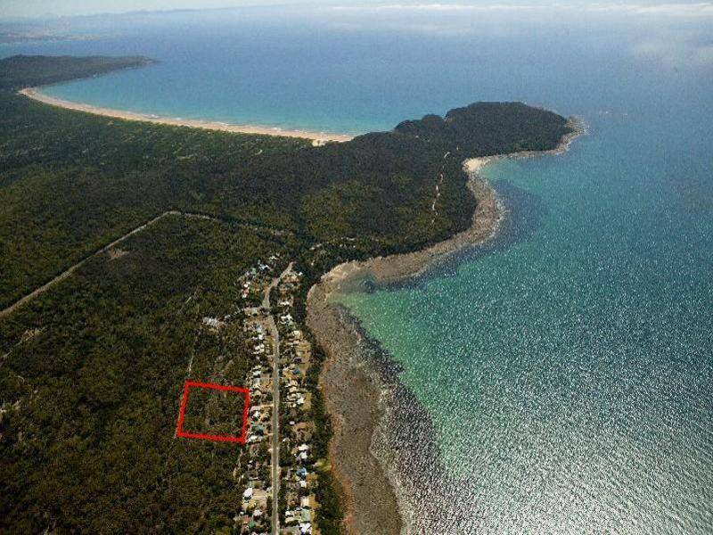 Fernlack  Ocean Rise Estate, Greens Beach TAS 7270